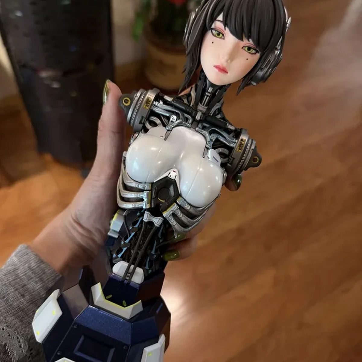 Is Direct Sunlight Really That Bad for Figures? | FigureCosmos collectible busts