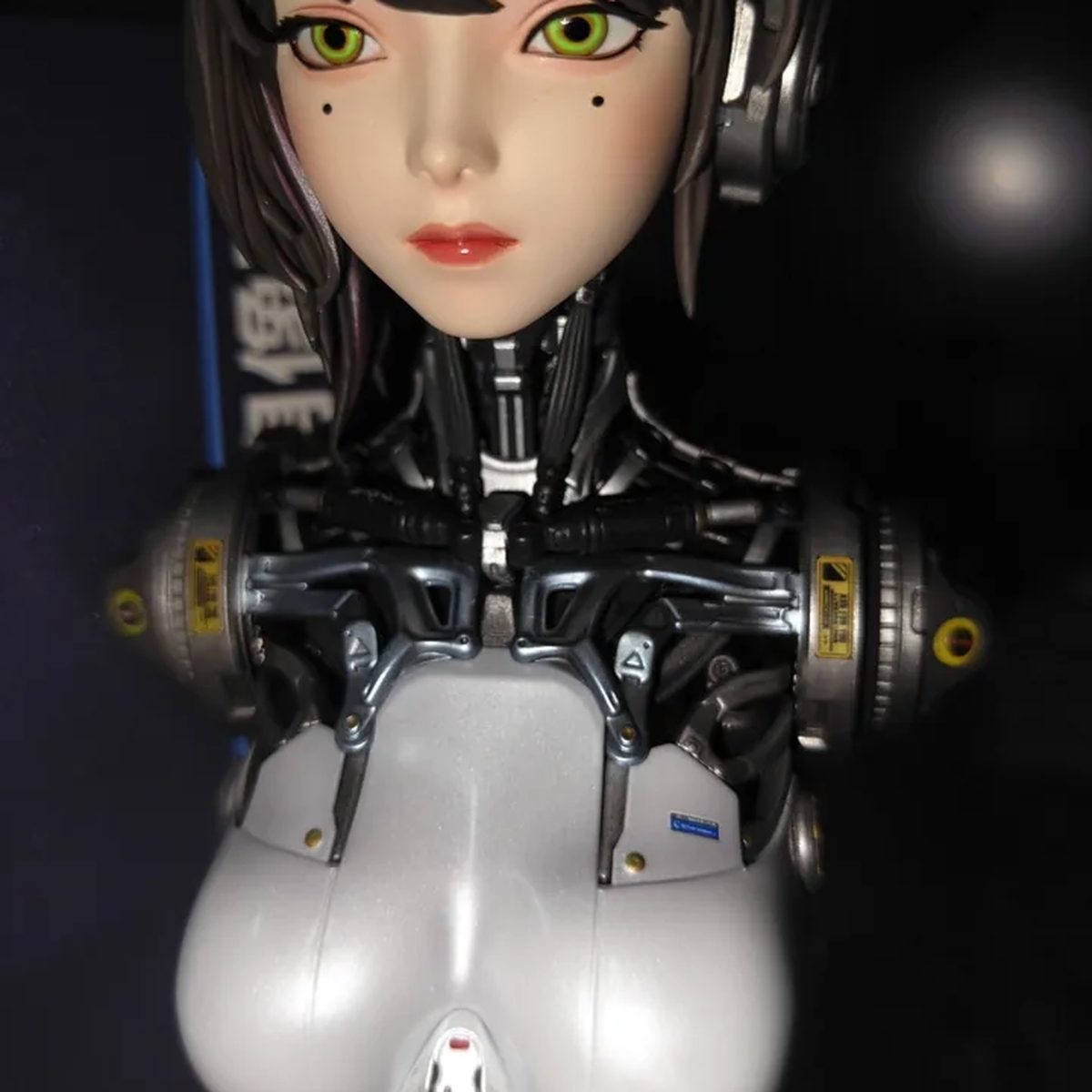 Protecting Paint on PVC Figures: Coats, Handling, Cleaning | FigureCosmos collectible busts